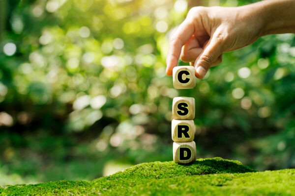Hand stacking wooden letter blocks spelling CSRD on a mound of moss